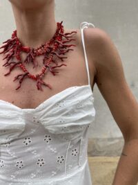 IMG_3281